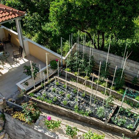 House Ina Ston Hotel Bagian luar foto